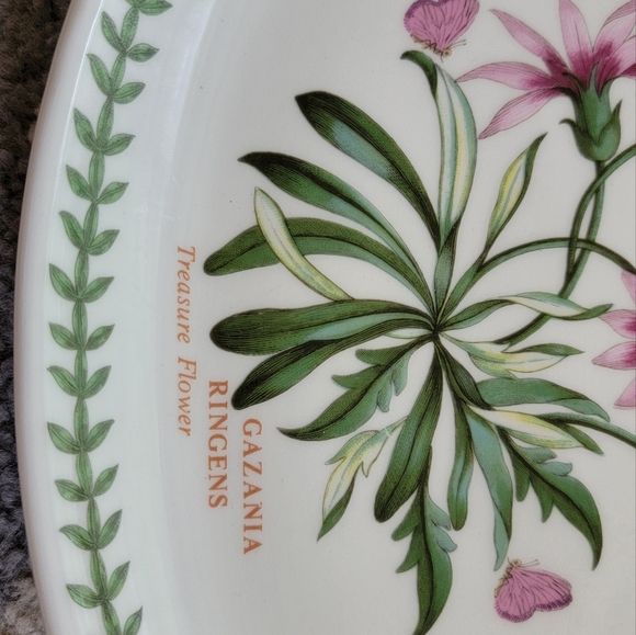 Portmeirion Botanic Garden Oval Steak Platter - Picture 4 of 7